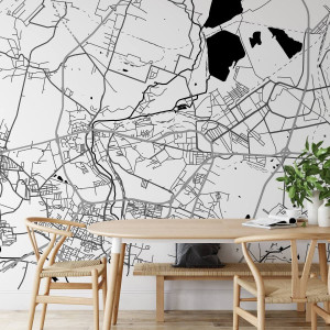 Tapeta na ścianę - mapa dąbrowa górnicza , rodzaj - próbka tapety 50x50cm