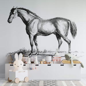 Tapeta dla dzieci - sketchy horse , rodzaj - tapeta flizelinowa