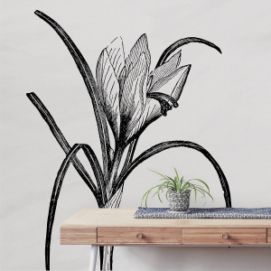 Tapeta na ścianę - crocus design , rodzaj - tapeta flizelinowa