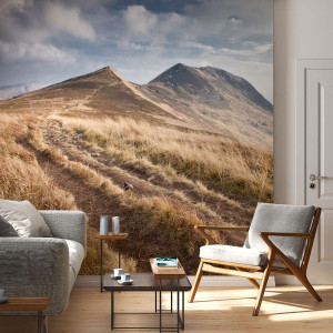 Tapeta na ścianę - bieszczady tarnica , rodzaj - tapeta flizelinowa laminowana