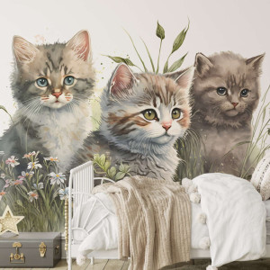 Tapeta na ścianę - kitty trio , rodzaj - tapeta flizelinowa