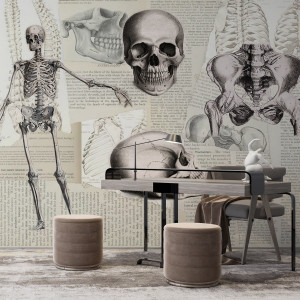 Tapeta na ścianę - skeletal study , rodzaj - tapeta flizelinowa