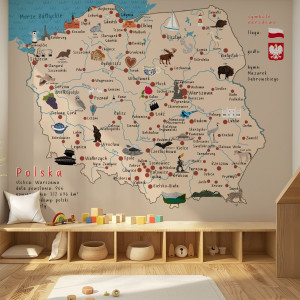 Tapeta na ścianę - rysunkowa mapa polski , rodzaj - próbka tapety 50x50cm