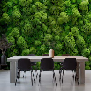 Tapeta na ścianę - reindeer moss wall , rodzaj - tapeta flizelinowa