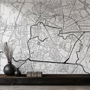 Tapeta na ścianę - mapa padwa , rodzaj - tapeta flizelinowa