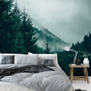 Tapeta na ścianę - misty woods , rodzaj - tapeta flizelinowa