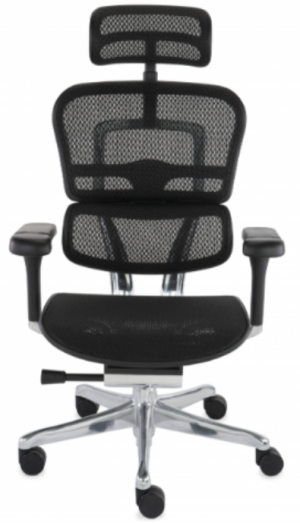 Fotel Ergohuman 2 Elite ST - Bestseller 2nd Gen | Strefa Ergonomii