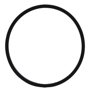 Oring do szkła filtra 8009984 5679997 83914036 3123889R1 3105001R1