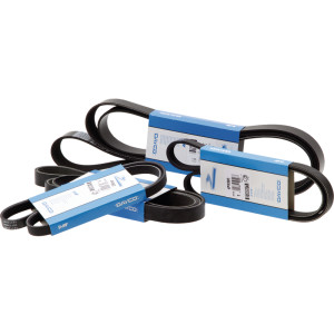 Pas klinowy rowkowany 8n 1790mm Dayco F404200040020 F718202040010