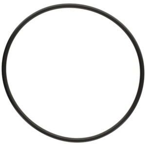 Oring 5450634349606 F824100090580 ZF