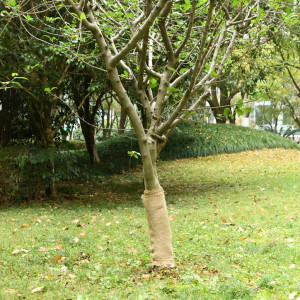 vidaXL Juterull 0,5x50 m 100 % jute 200 g/m²