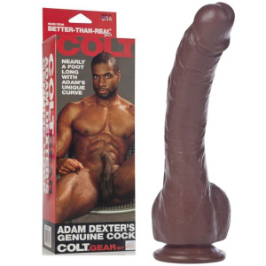 COLT ADAM DEXTER DONG Realistyczne dildo z jąrami i przyssawką, brązowe