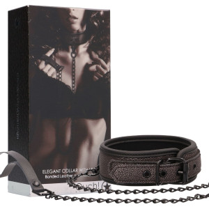 Elegant Collar with Leash Titanium Grey