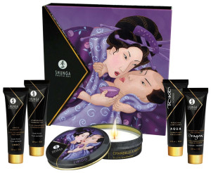 Zestaw do zmysłowych masaży i gier miłosnych - Geisha's Secret Kit - owoce leśne - Shunga