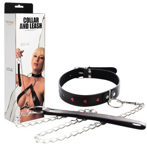 Collar with detachable leash