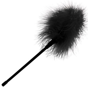 Feather
