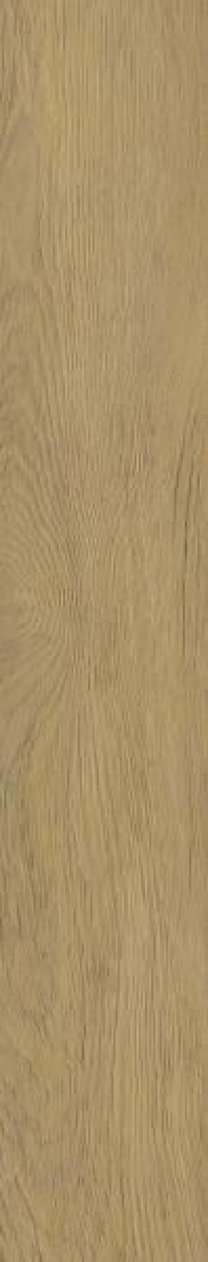 Płytka Spacewood Gold Struktura Mat 19,8x119,8 Paradyż Classica