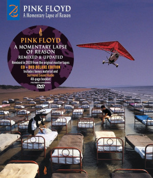 PINK FLOYD - A MOMENTARY LAPSE OF REASON