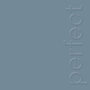 NEW ORDER - THE PERFECT KISS