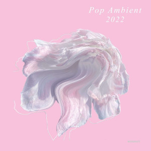 VARIOUS - POP/AMBIENT 2022