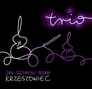 KRZESZOWIEC TRIO - TRIO POLSKA MUZYKA WSPÓŁCZESNA