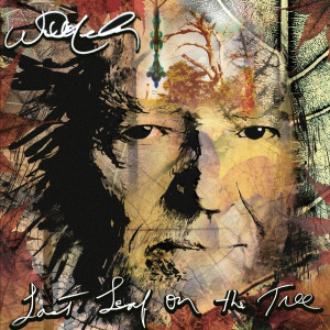 NELSON, WILLIE - LAST LEAF ON THE TREE