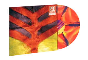 YEAH YEAH YEAHS - SHOW YOUR BONES (RSD ESSENTIALS) (20TH ANNIV. MARBLED VINYL)