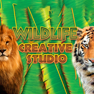 Alternative Software Licență Wildlife Creative Studio (1 dispozitiv / Lifetime) (Steam)