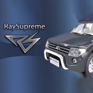 BrainDistrict Licență RaySupreme 3D (1 dispozitiv / Lifetime) (Steam)