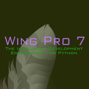 Wingware Licență Wing Pro 7 (1 dispozitiv / Lifetime) (Steam)