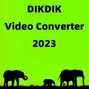 ionlysoft.com Licență DIKDIK Video Converter (1 dispozitiv / Lifetime) (Steam)