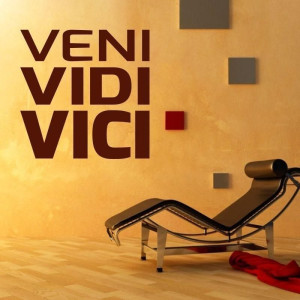 Naklejka 03X 16 veni vidi vici 1705