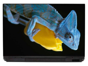 Naklejka na laptopa kameleon 0049