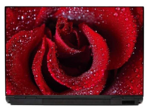 Naklejka na laptopa róża 0042