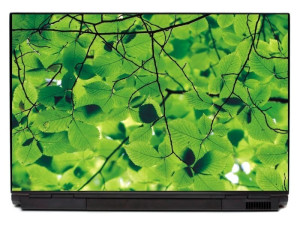 Naklejka na laptopa liście P154