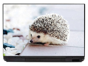 Naklejka na laptopa jeż P215