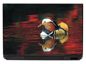 Naklejka na laptopa kaczka P208