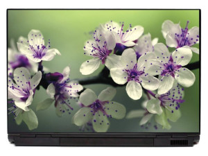 Naklejka na laptopa orchidea P410