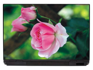 Naklejka na laptopa róża P413