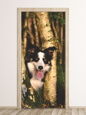 Fototapeta na drzwi pies w lesie P6