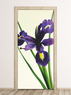 Fototapeta na drzwi irys P63