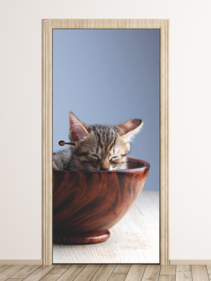 Fototapeta na drzwi kot w misce P56