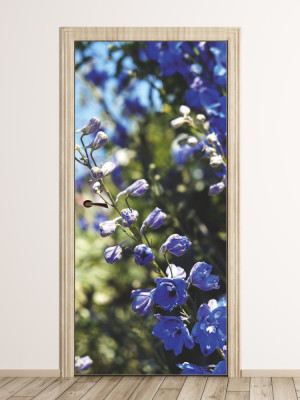 Fototapeta na drzwi kwiat P85