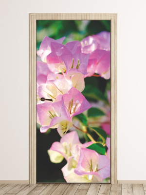 Fototapeta na drzwi kwiaty P88