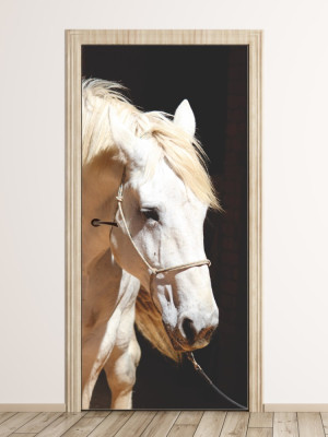 Fototapeta na drzwi koń P106