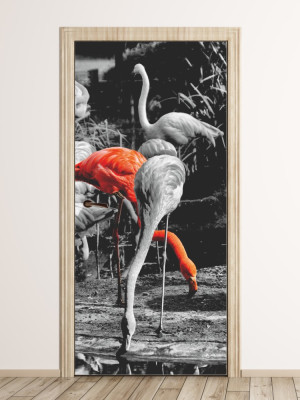 Fototapeta na drzwi flamingi P138
