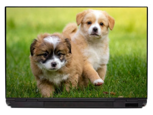 Naklejka na laptopa małe pieski P503