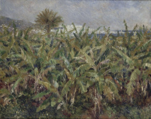 Reprodukcja obrazu Champ de bananiers - Auguste Renoir