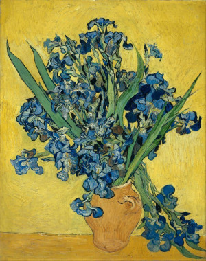 Reprodukcja obrazu Irises May 1890 - Vincent van Gogh
