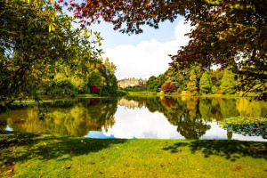 Fototapeta na ścianę zielony park FP 3869